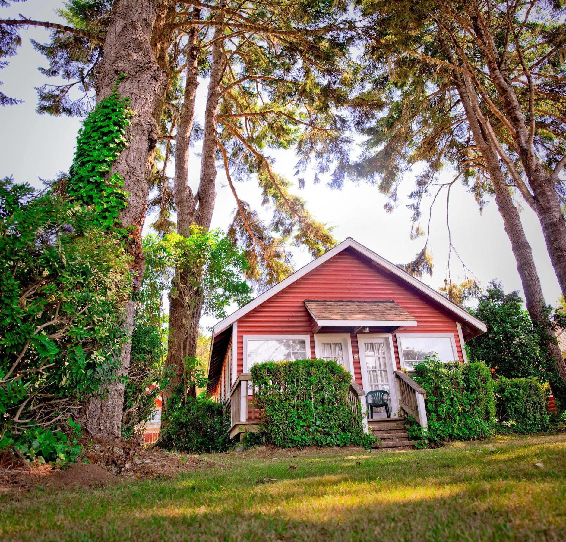 View Crest Lodge Trinidad Ngoại thất bức ảnh