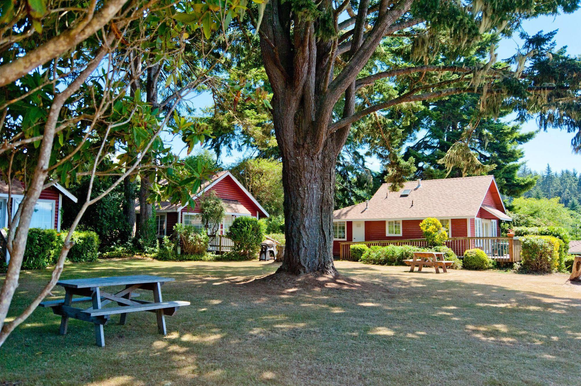 View Crest Lodge Trinidad Ngoại thất bức ảnh